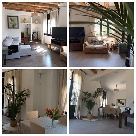 Un Tros De Sal. Casa Rural A Gerri De La Sal. Villa Luaran gambar